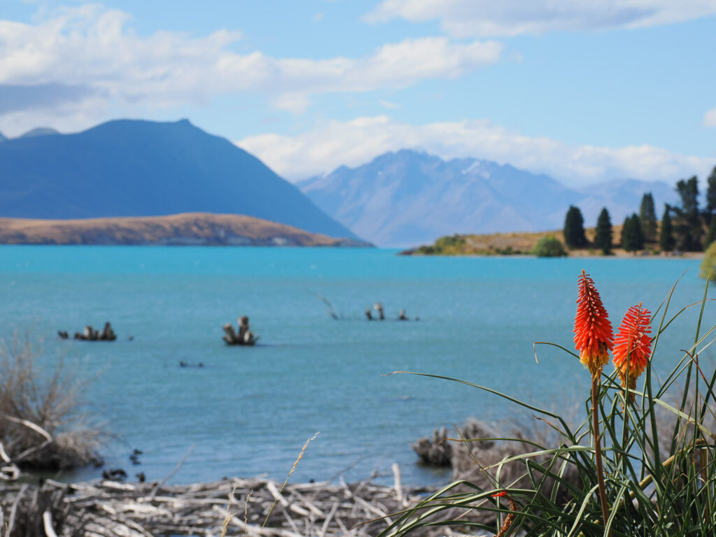 Lake Tekapo