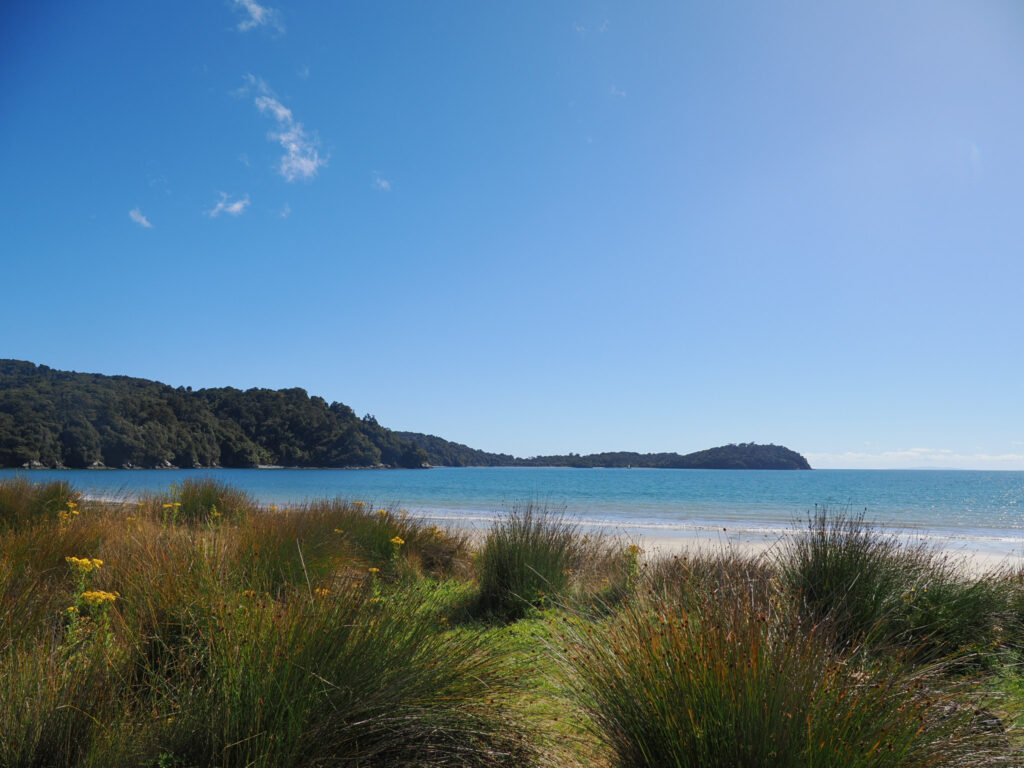 Rakiura Impressionen