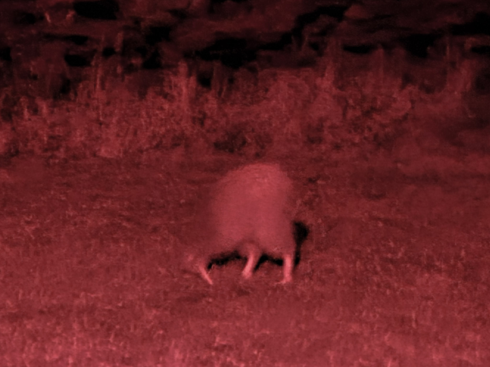 20230228-20230227_223238