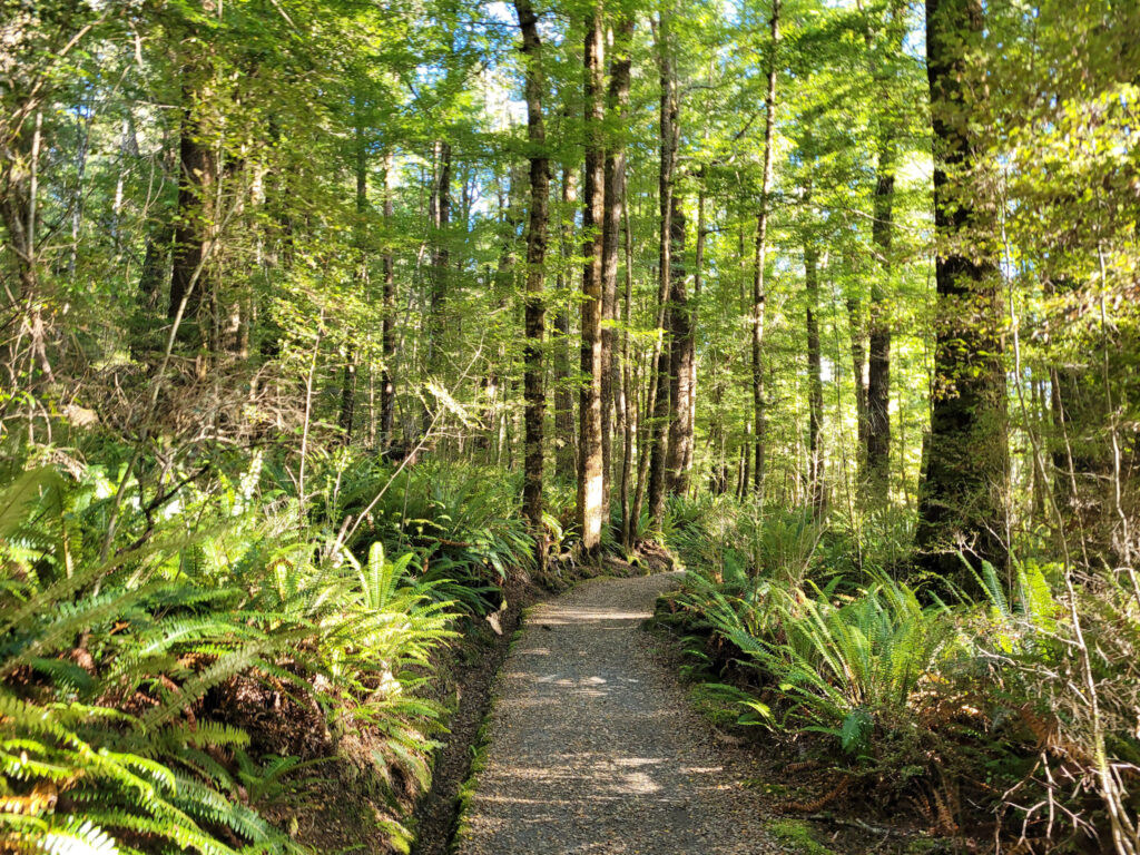 Kepler Track 1/4
