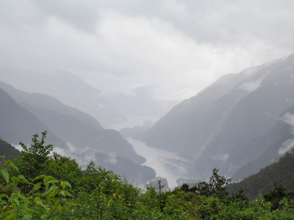 Doubtful Sound 1/2