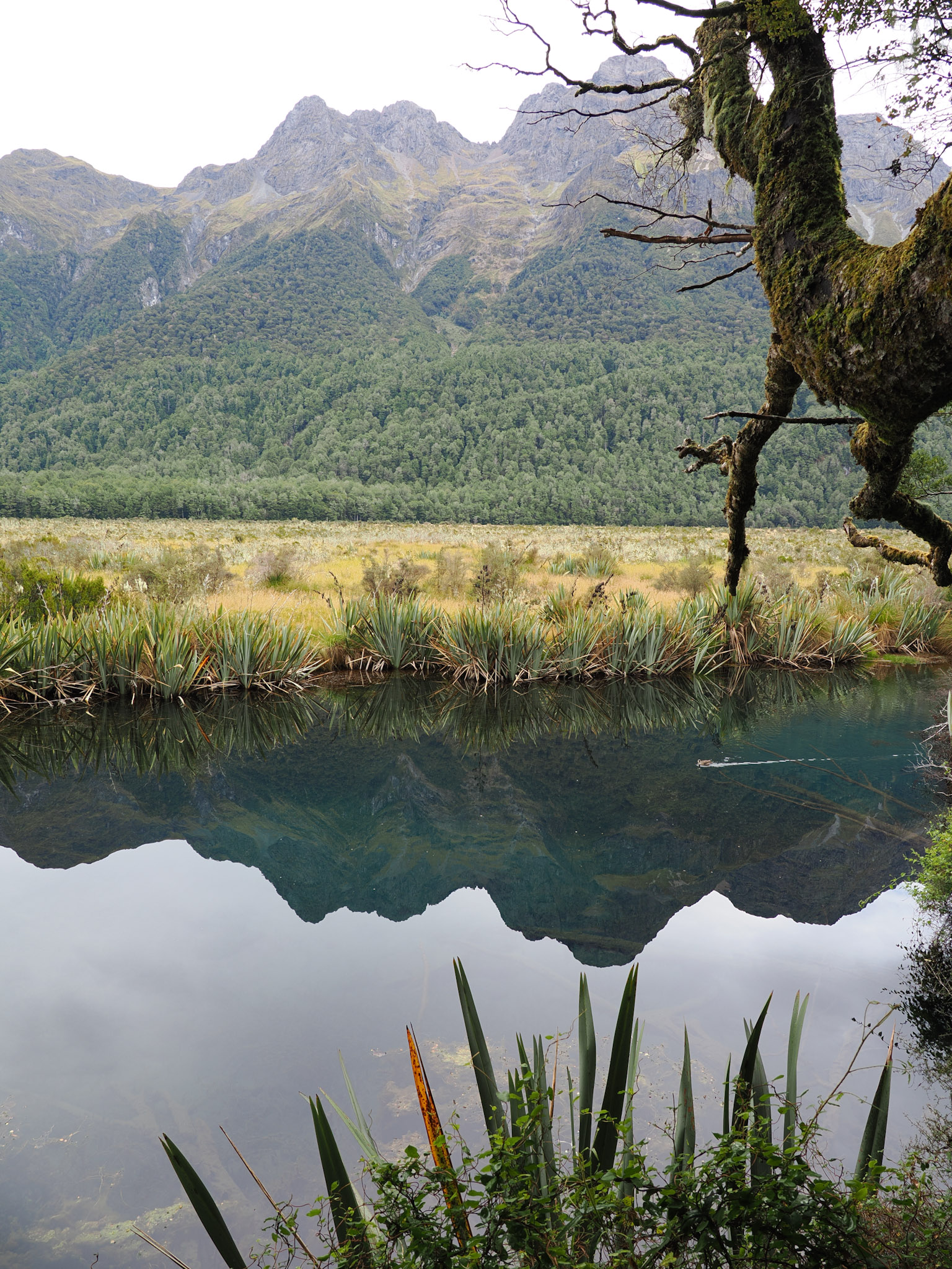 Mirror Lakes