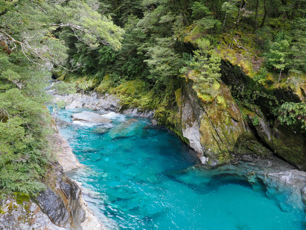 Fox Glacier