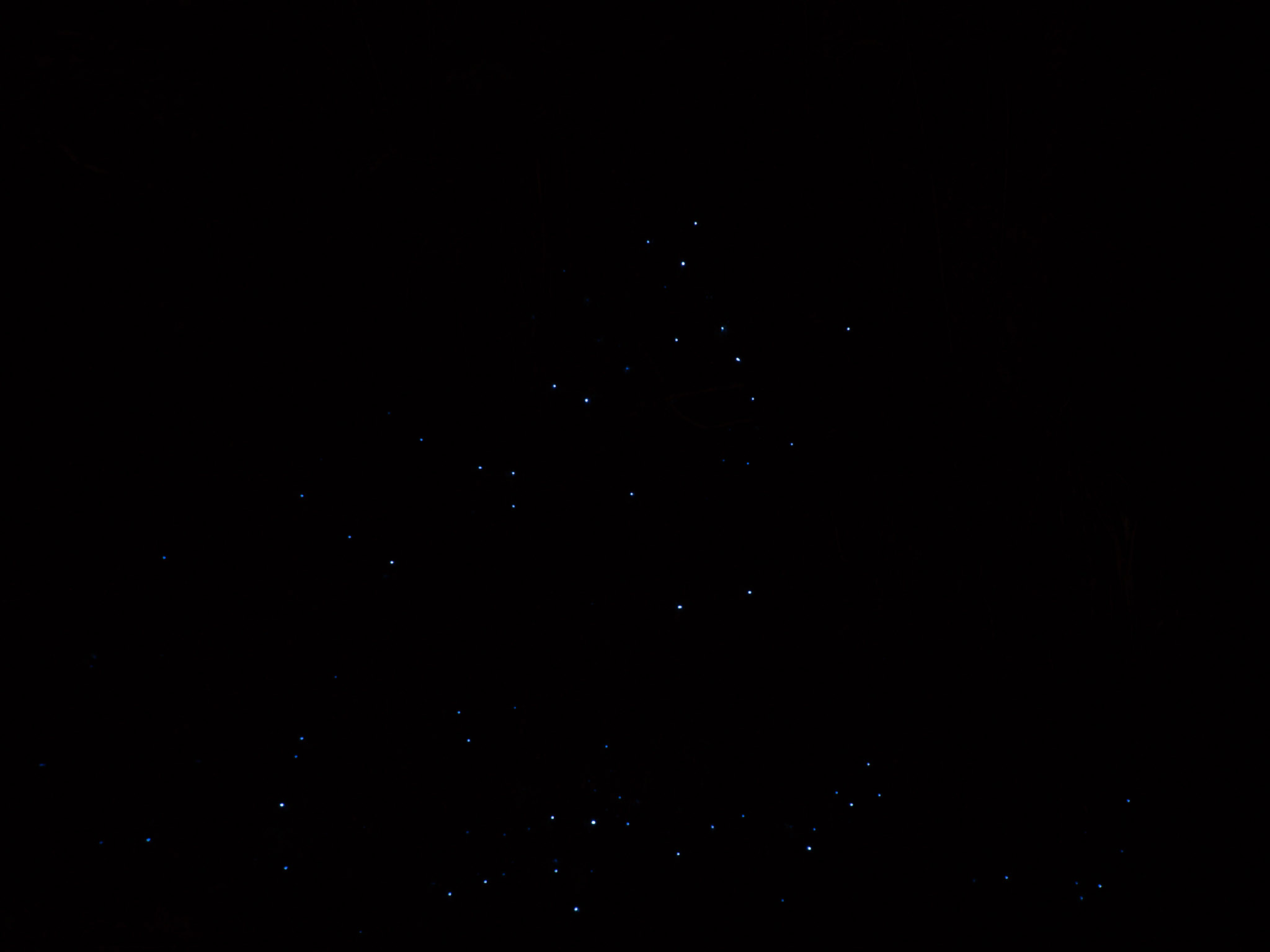 20230317-O3171625