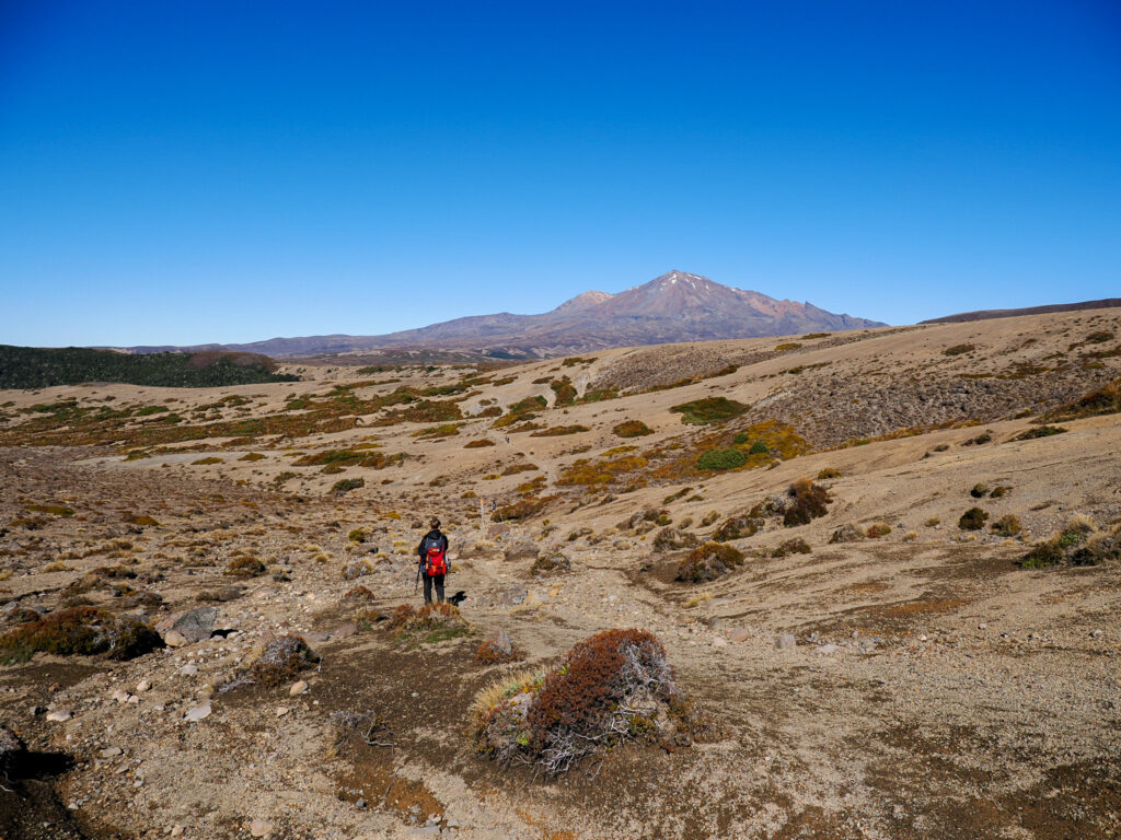 Tongariro NC GW 3/4