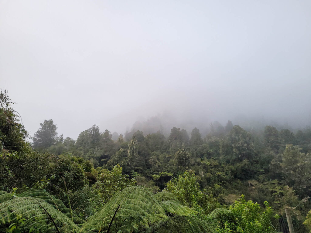 Whanganui RJ GW 2/3
