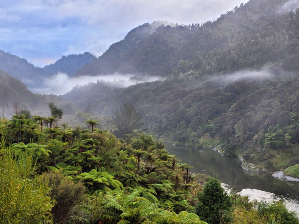 Whanganui RJ GW 3/3