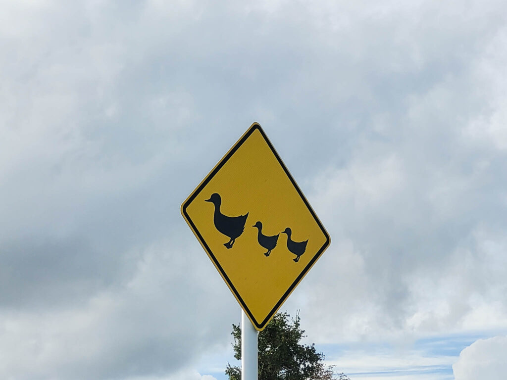 Taupo