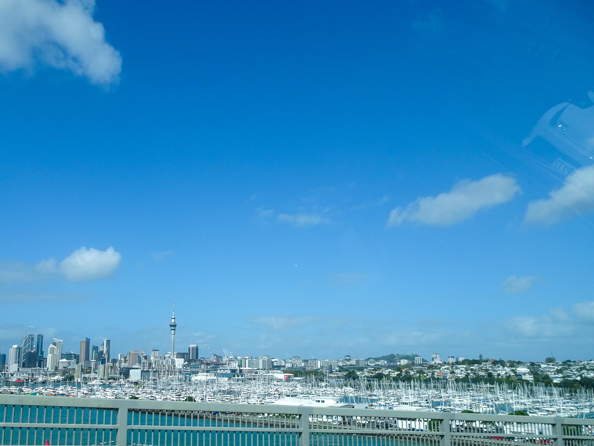 20230425-DSC05331