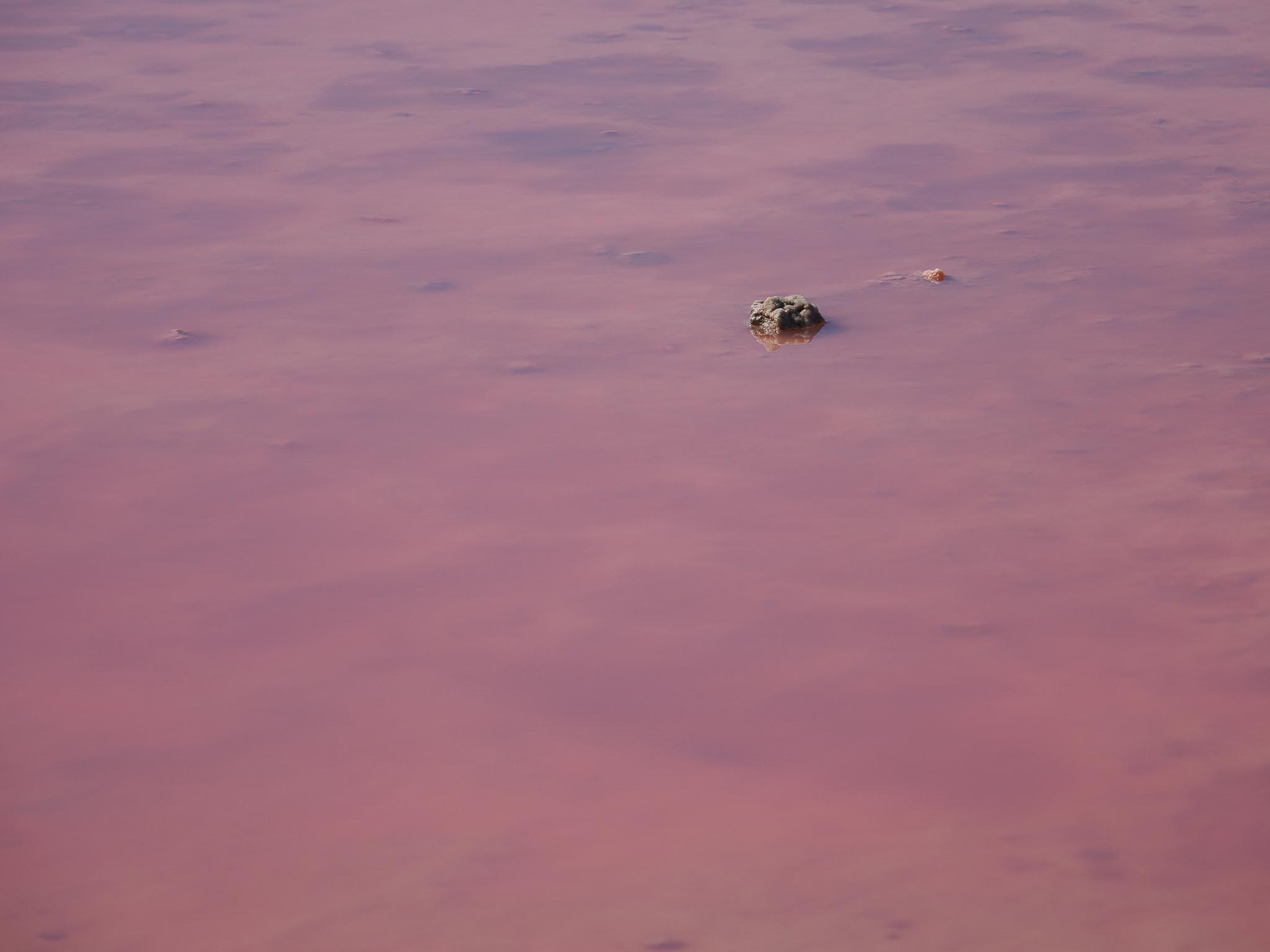 20230501-O5013913