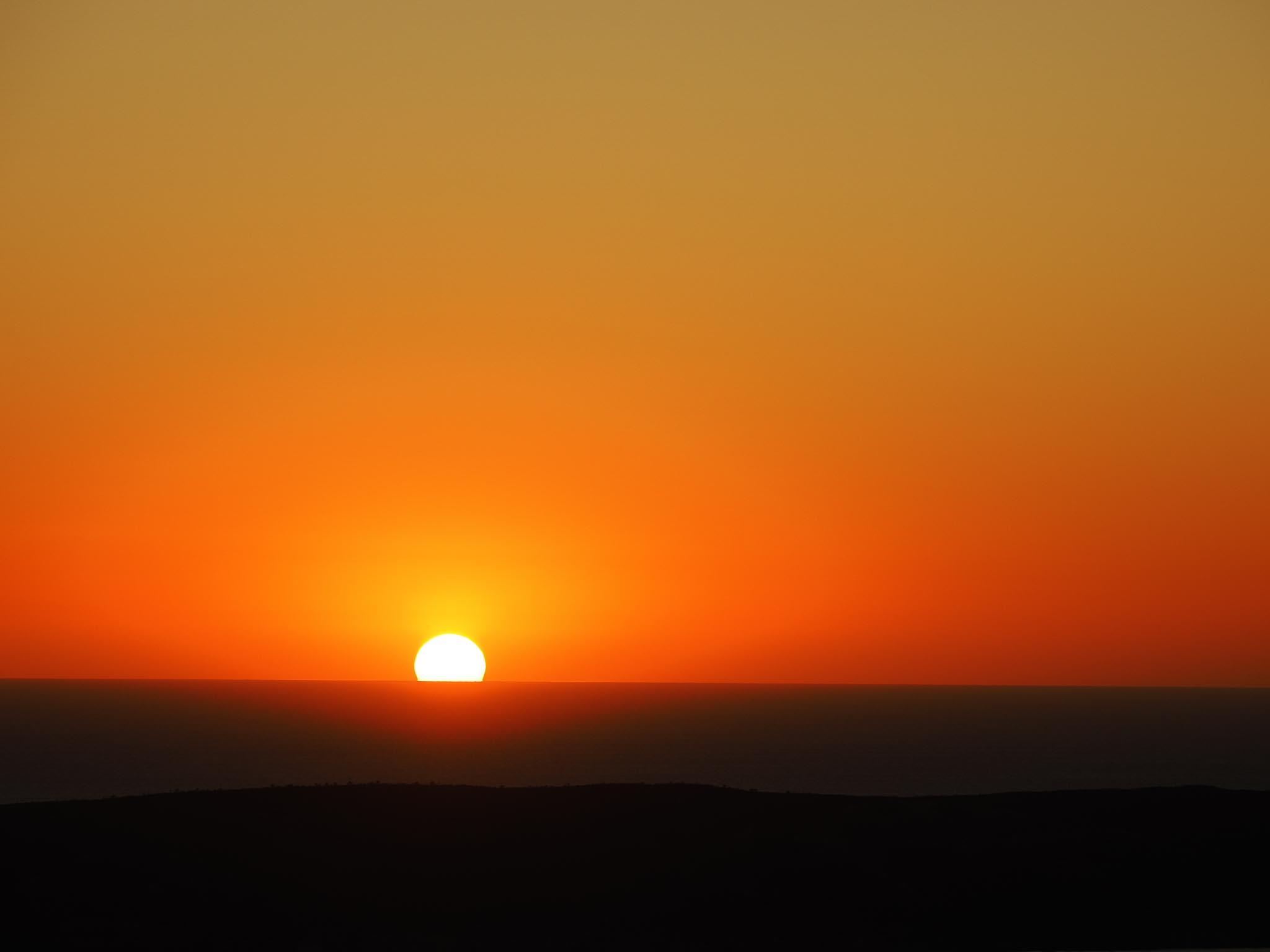 20230501-O5013964