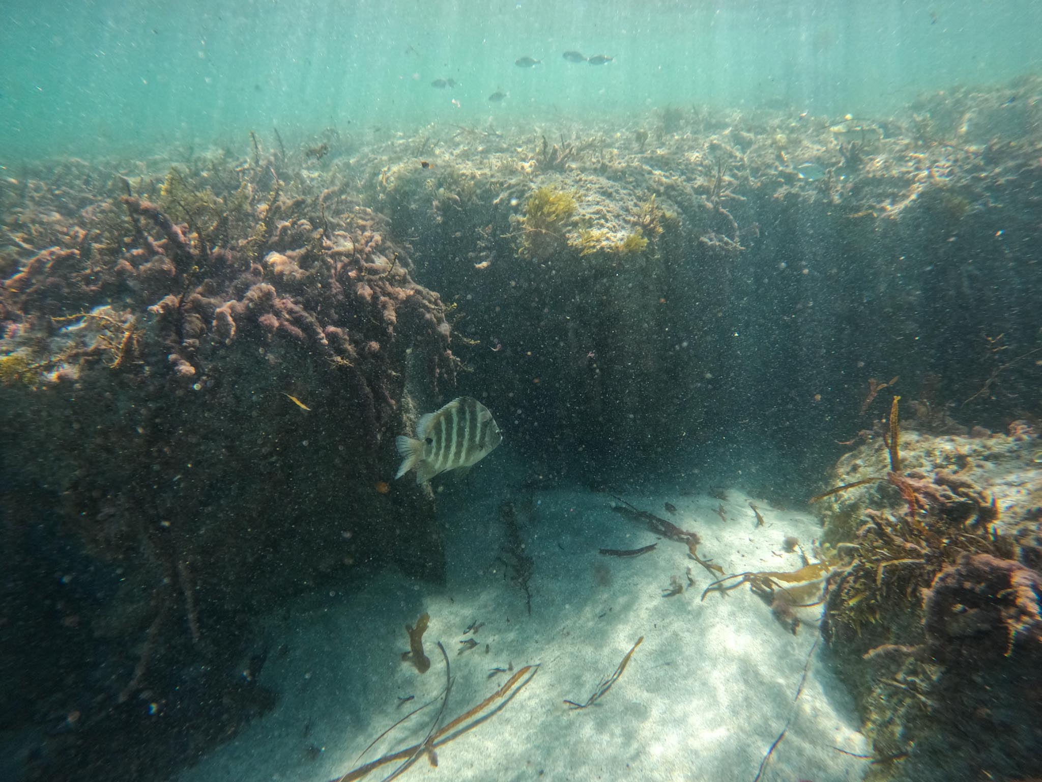 DCIM100GOPROGOPR1078.JPG