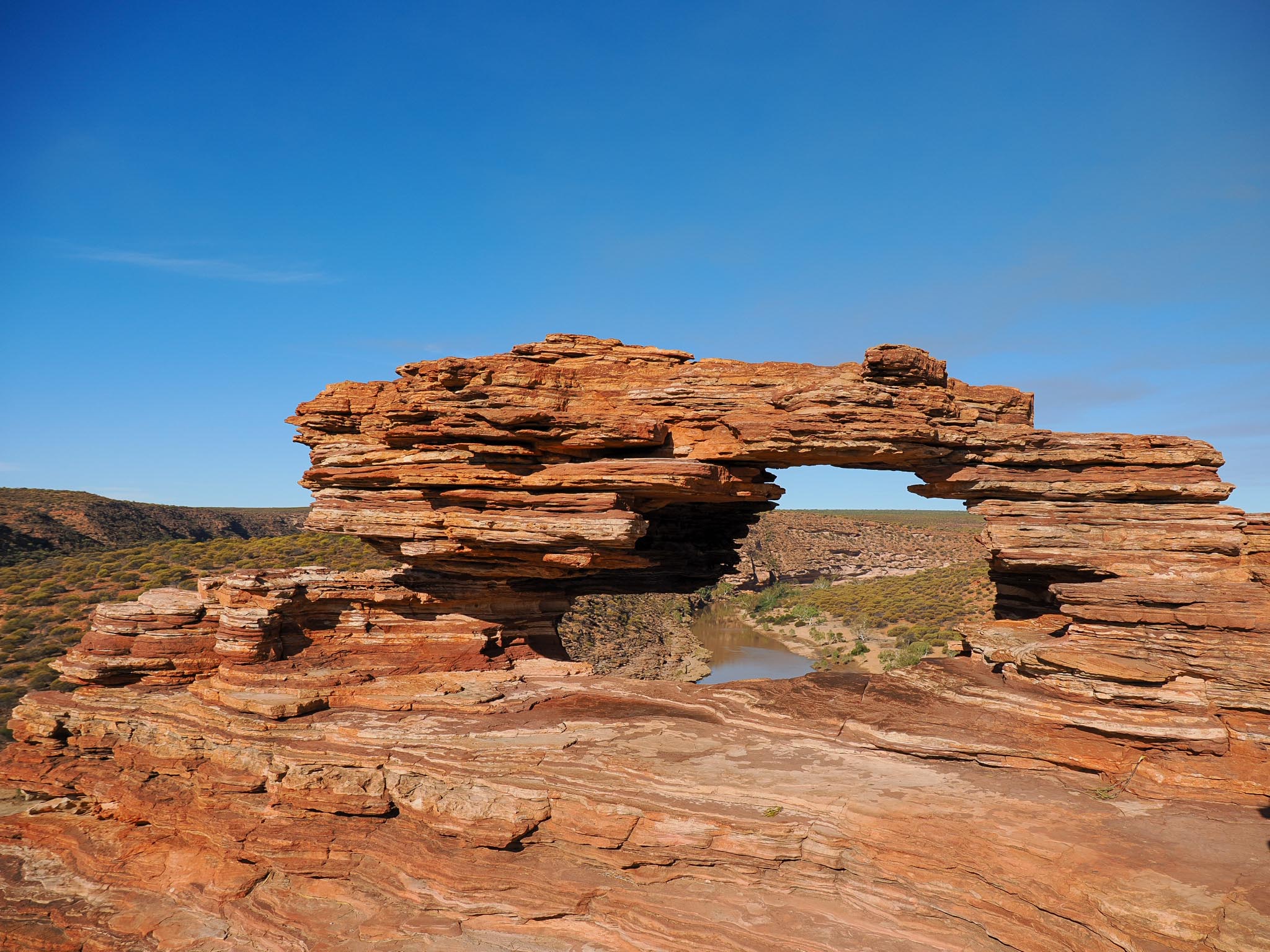 Nature's Window