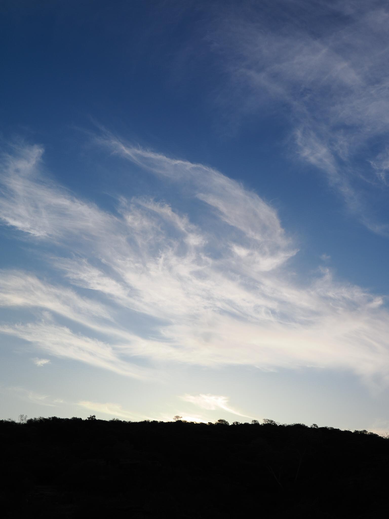 20230502-O5024060