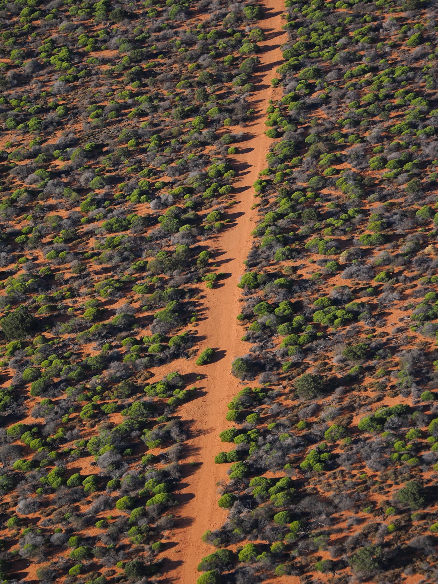 20230504-O5045080