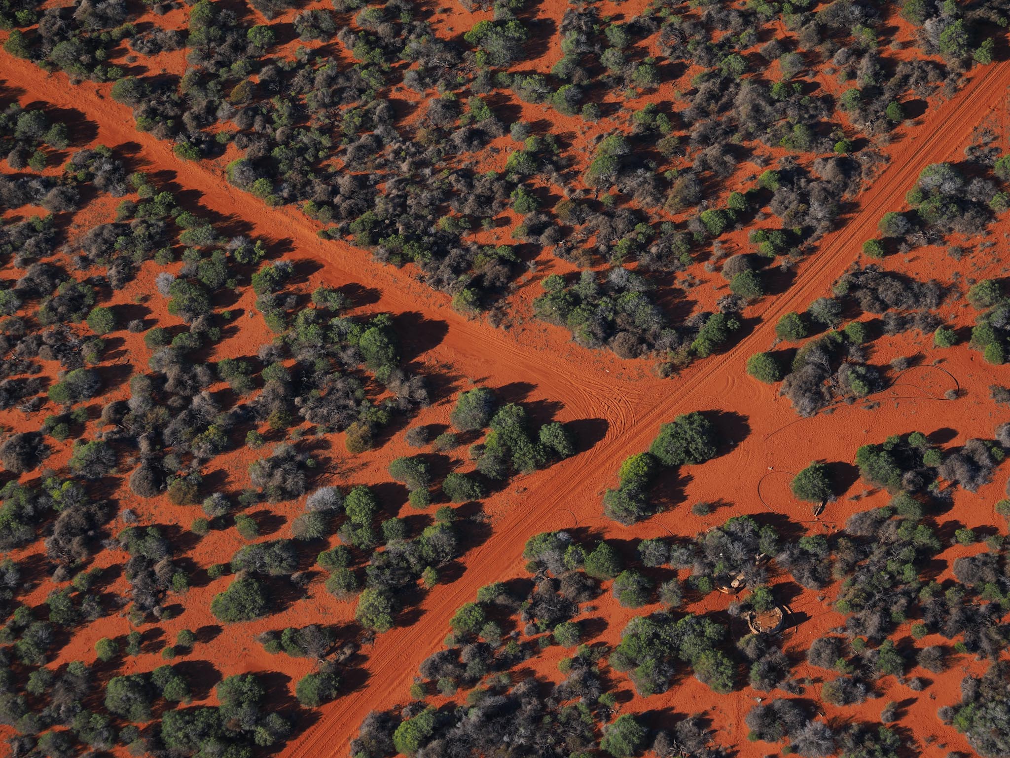 20230504-O5045082