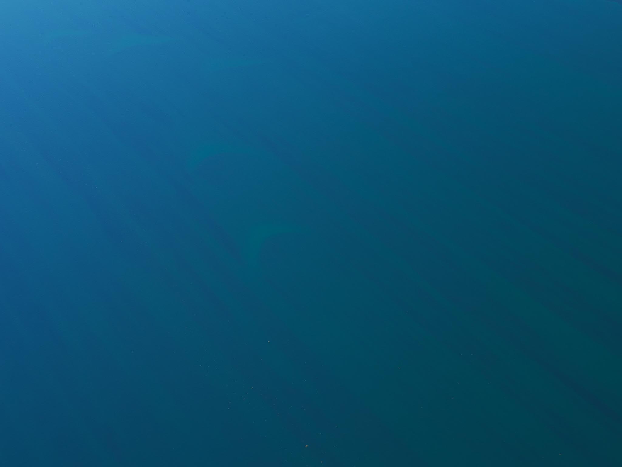20230504-O5045161