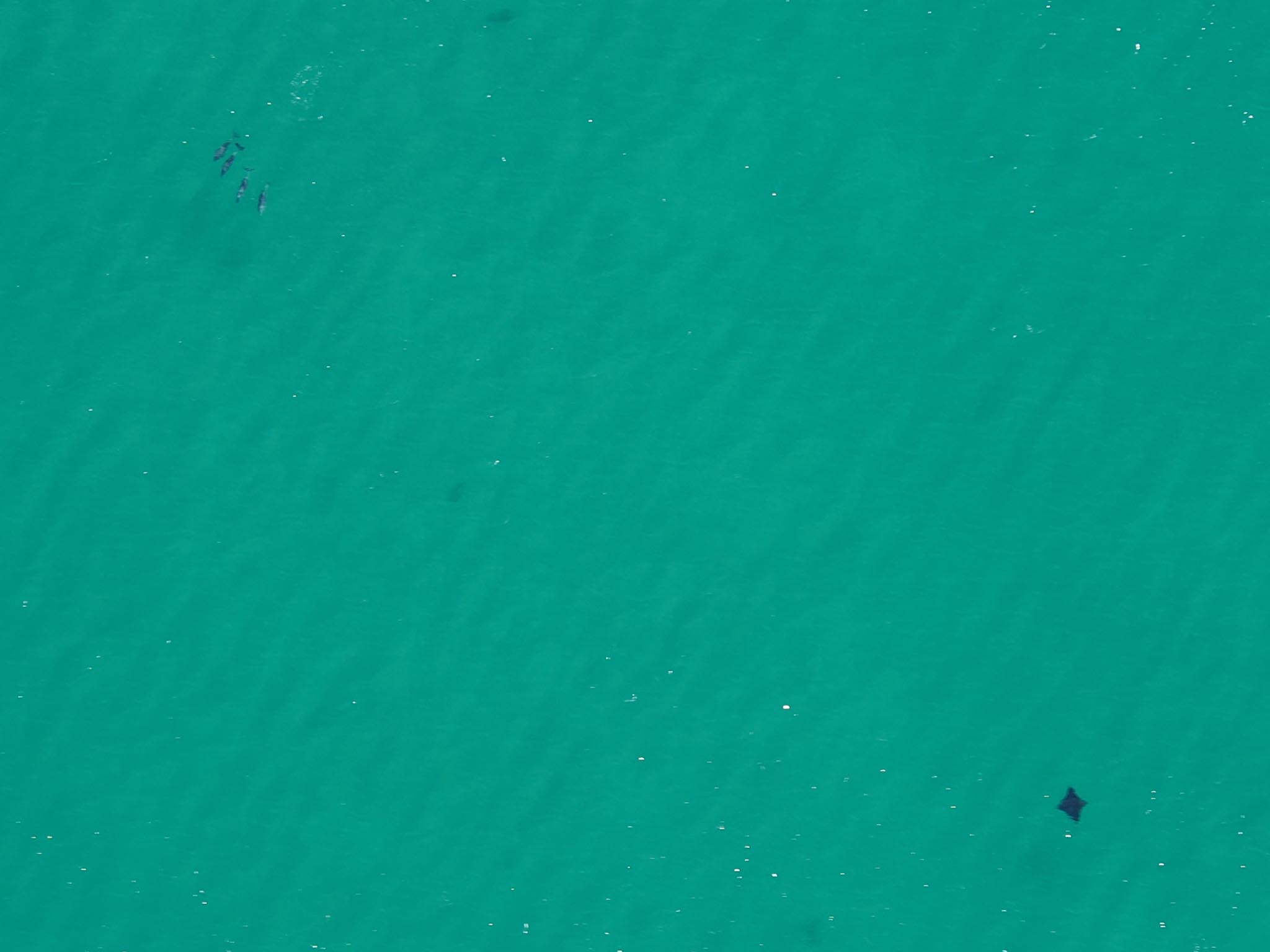 20230504-O5045178