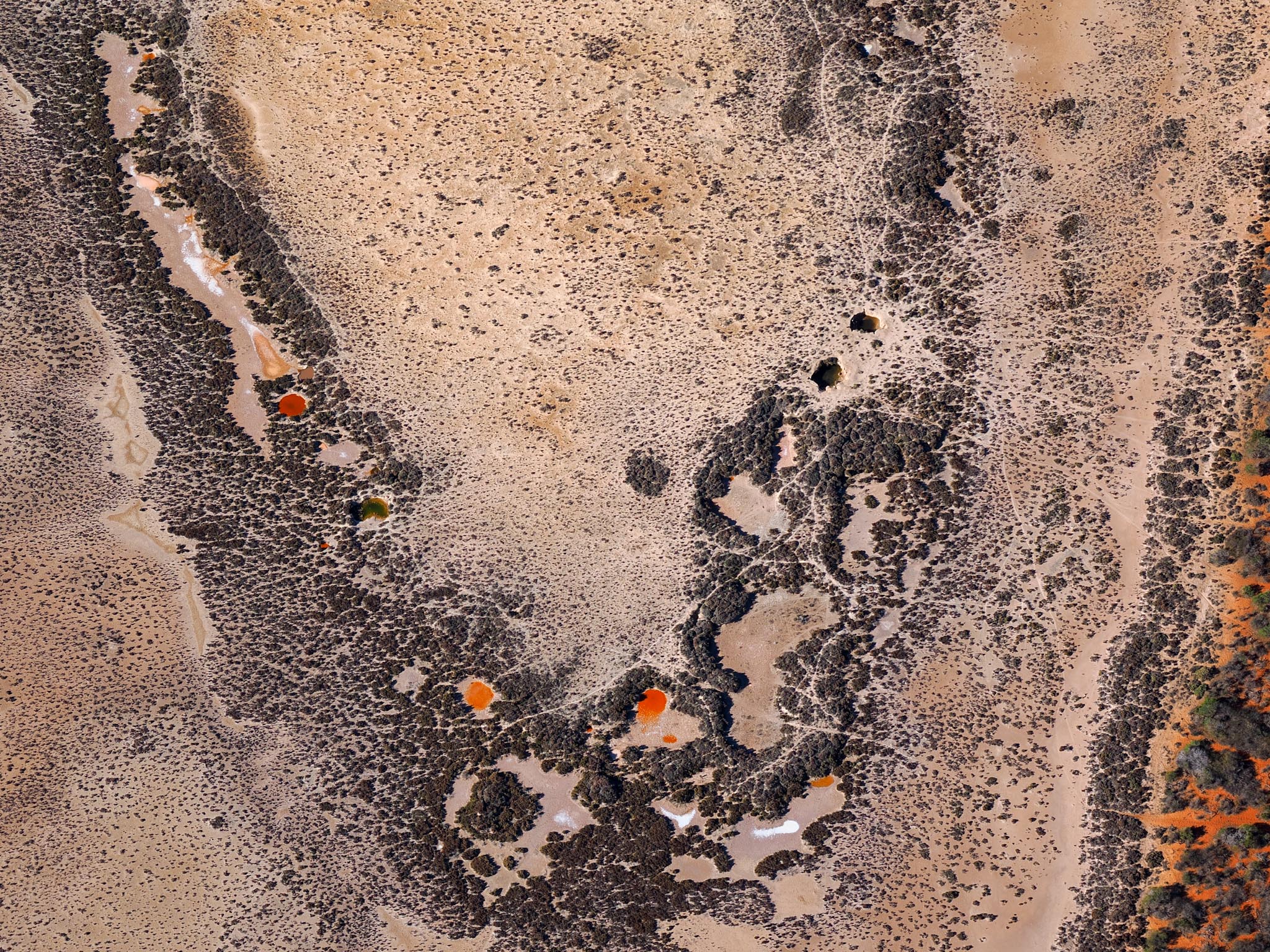 20230504-O5045202