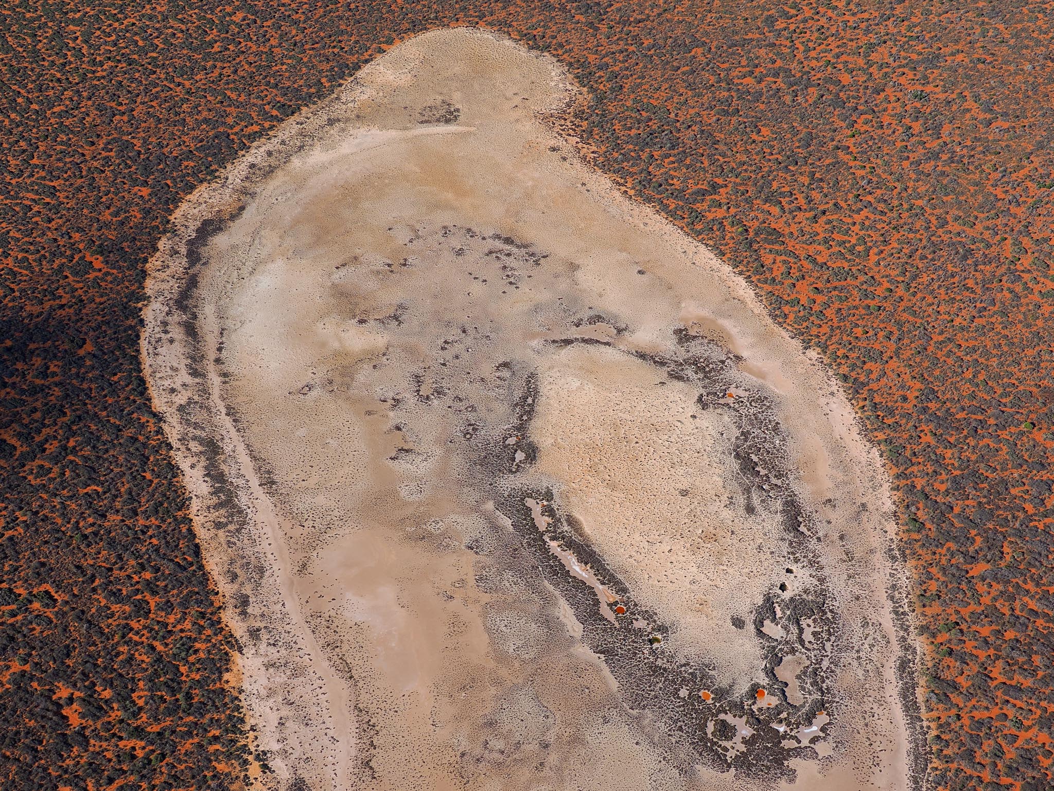 20230504-O5045203