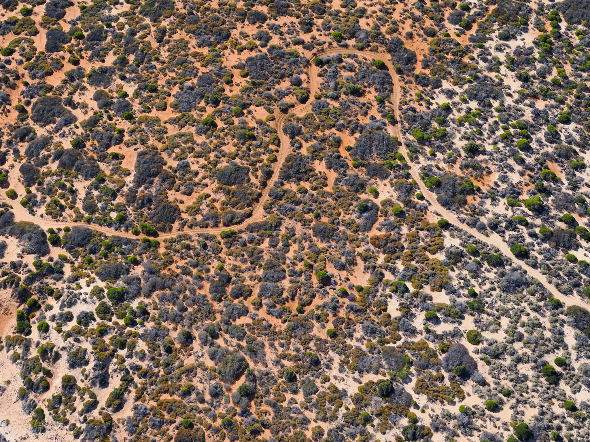 20230504-O5045250