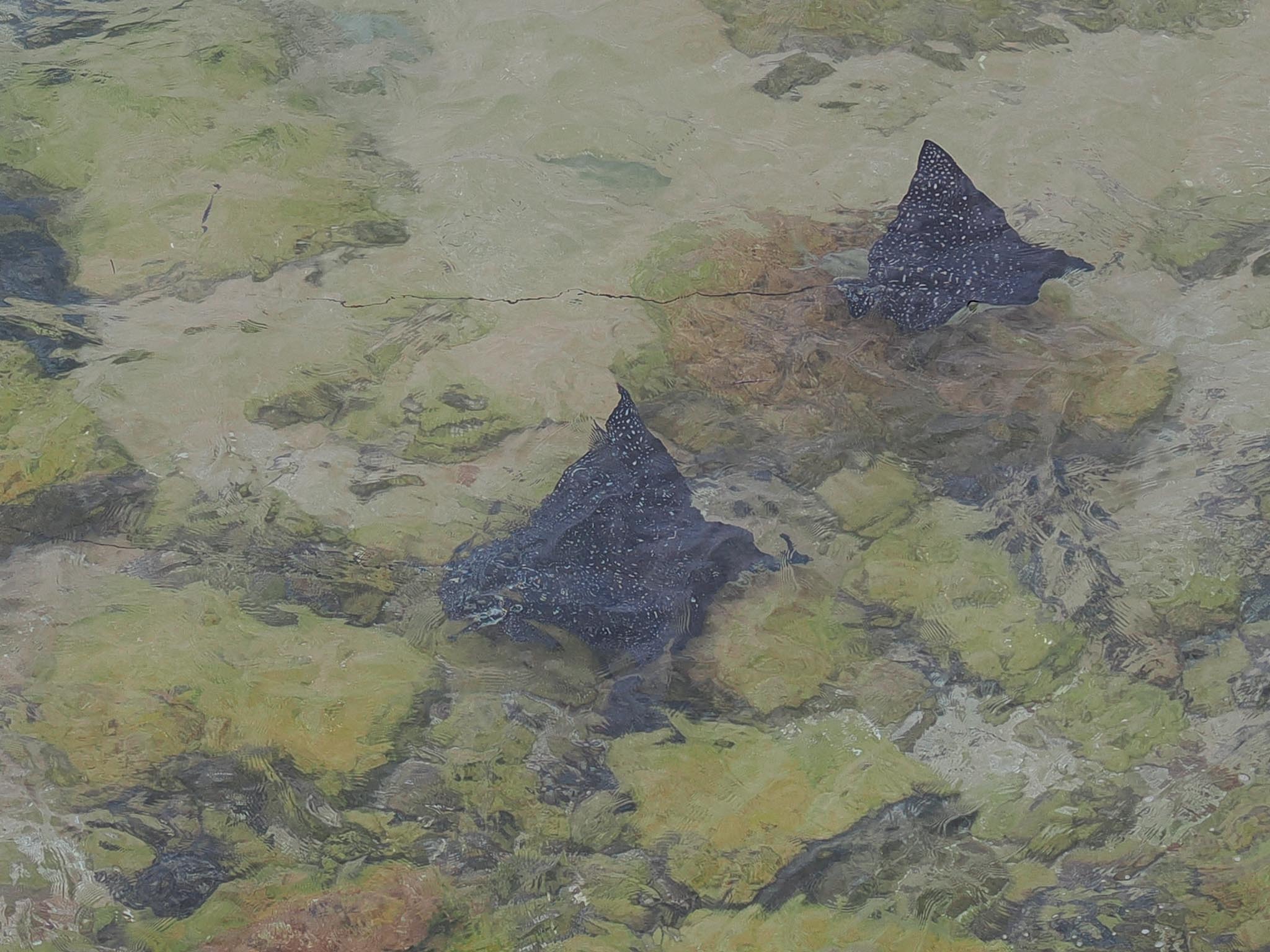 20230505-O5055371_1