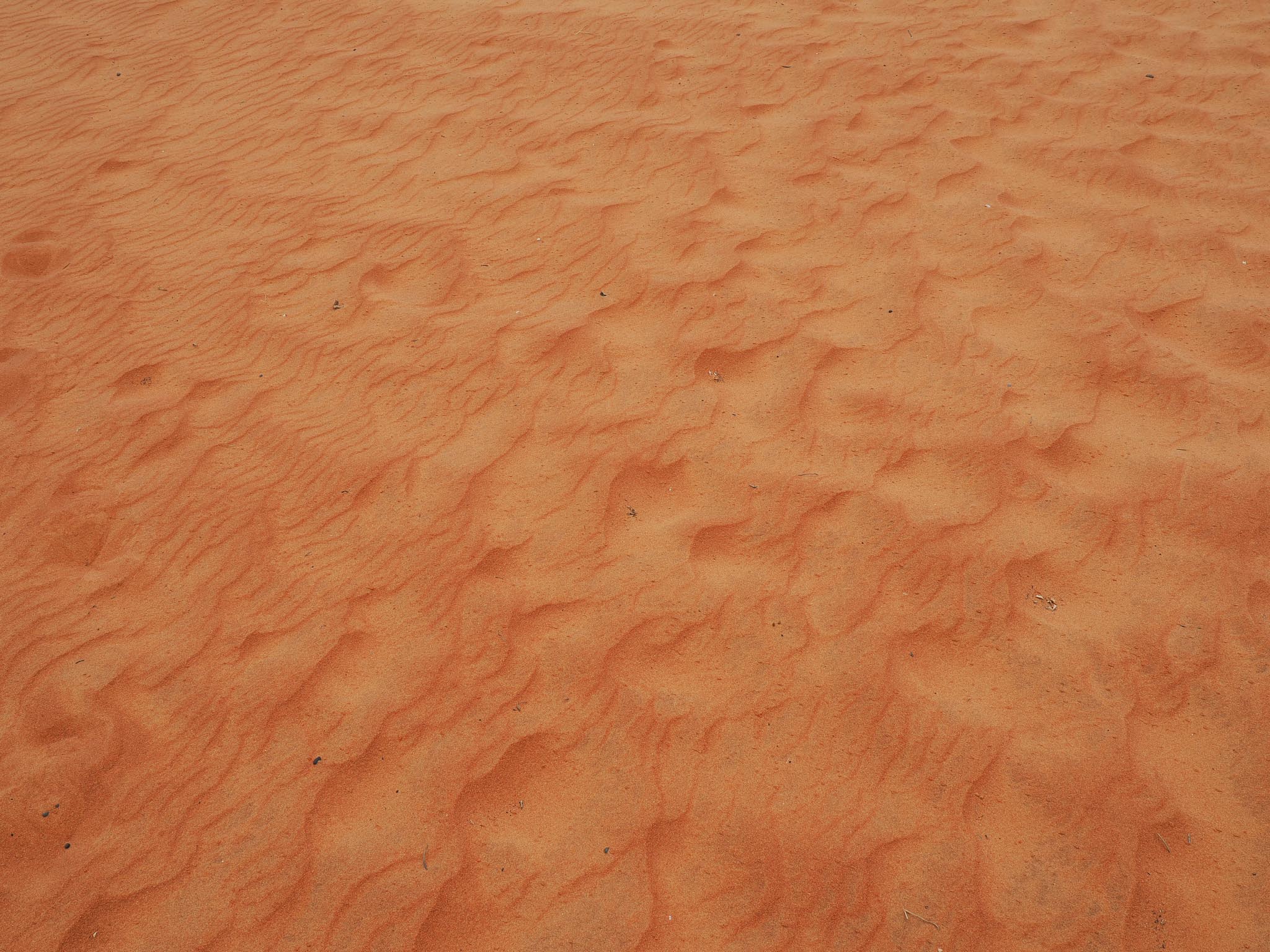 20230505-O5055418