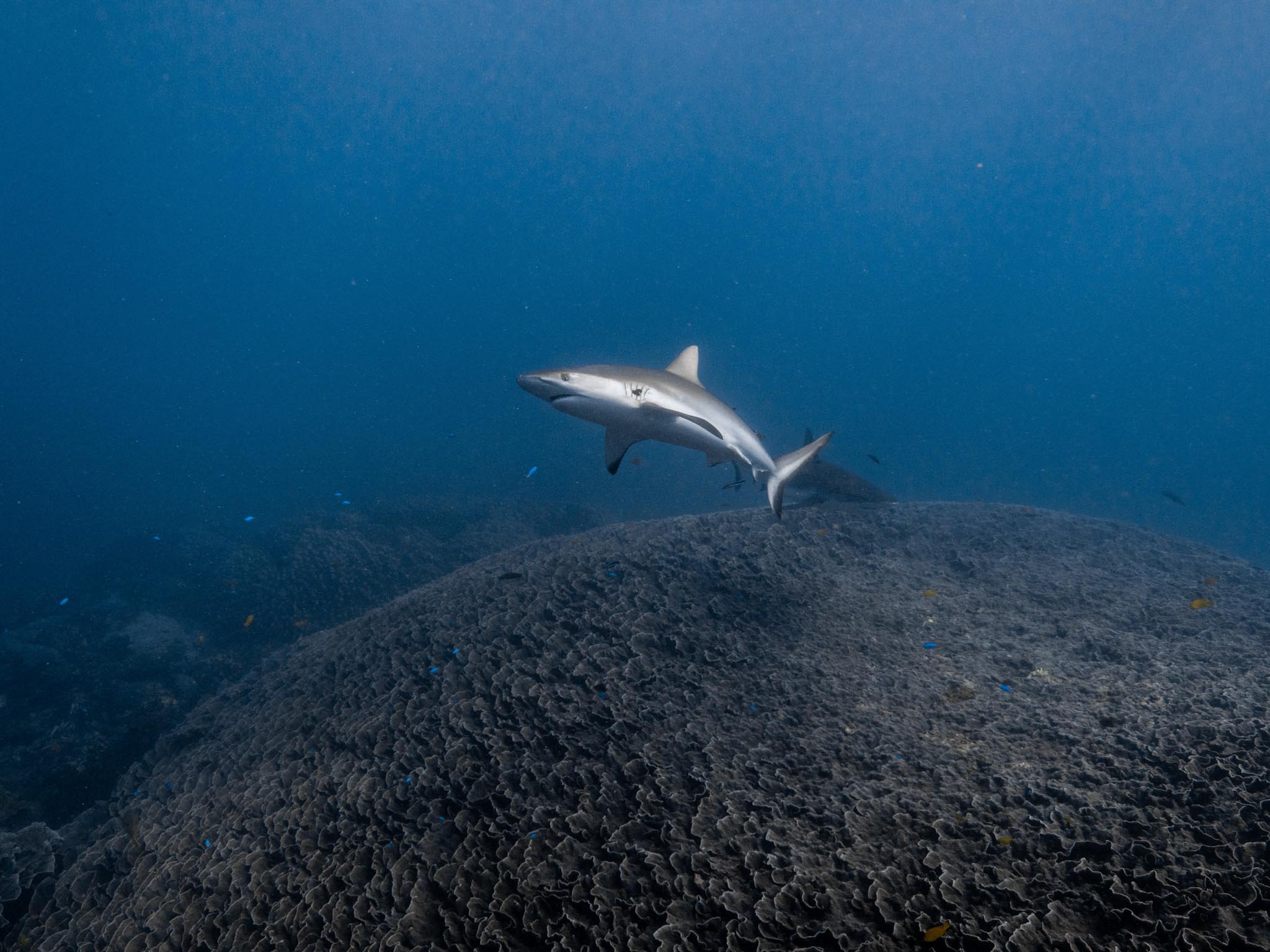 20230508-P1002645