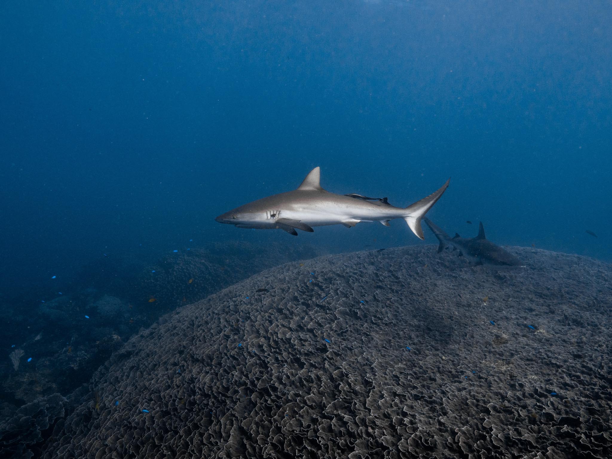 20230508-P1002647