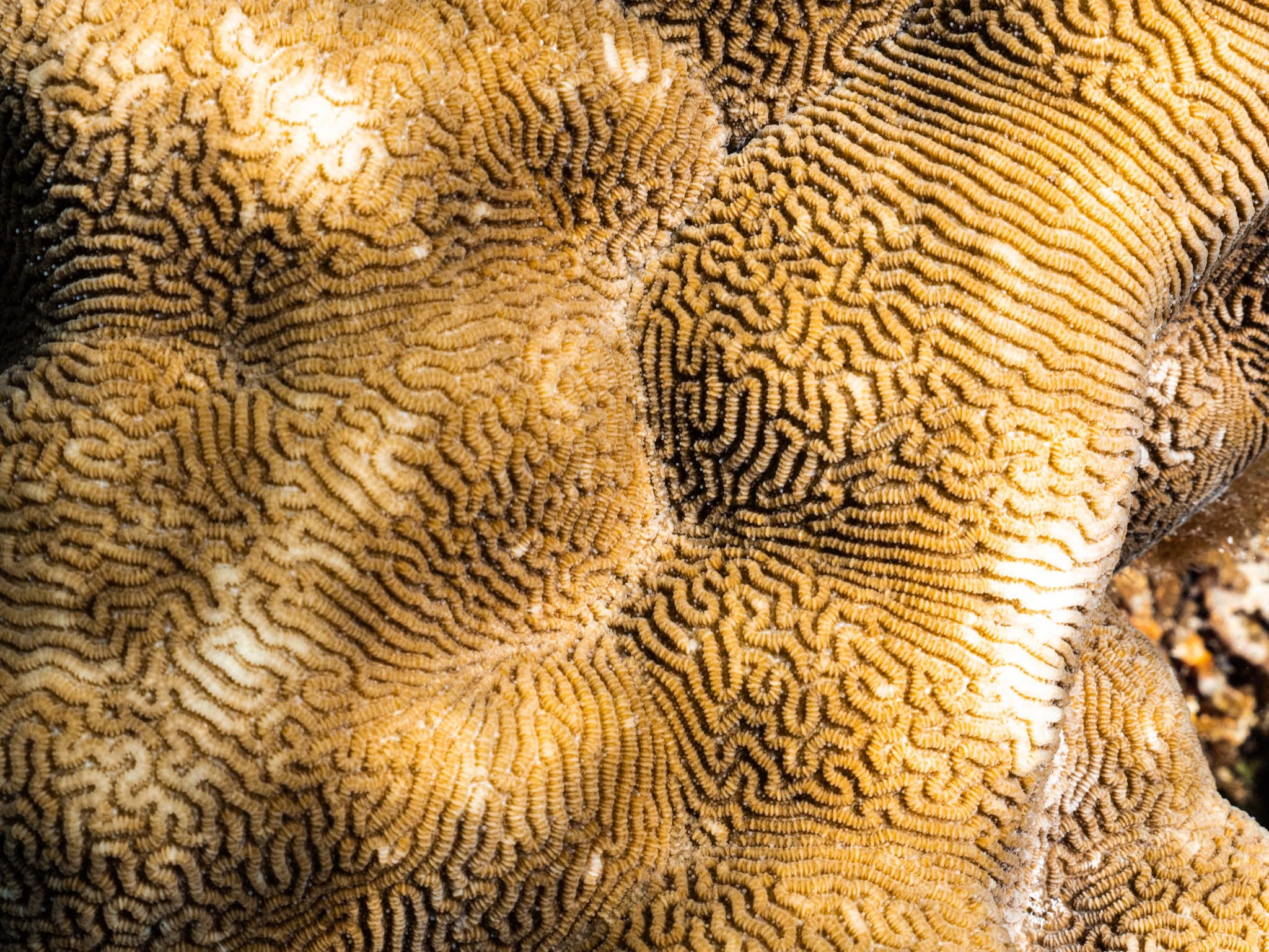 20230508-P1004867