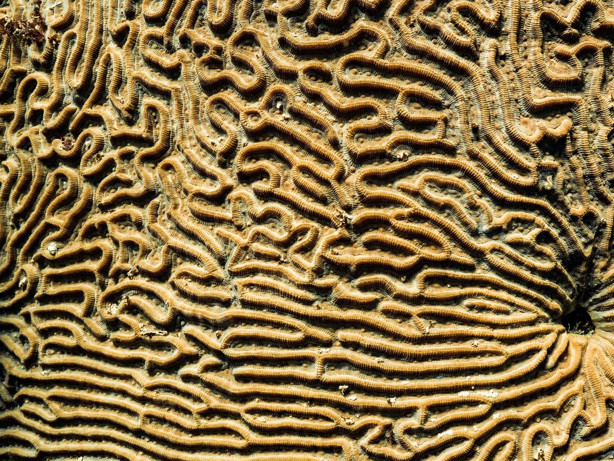 20230508-P1022166