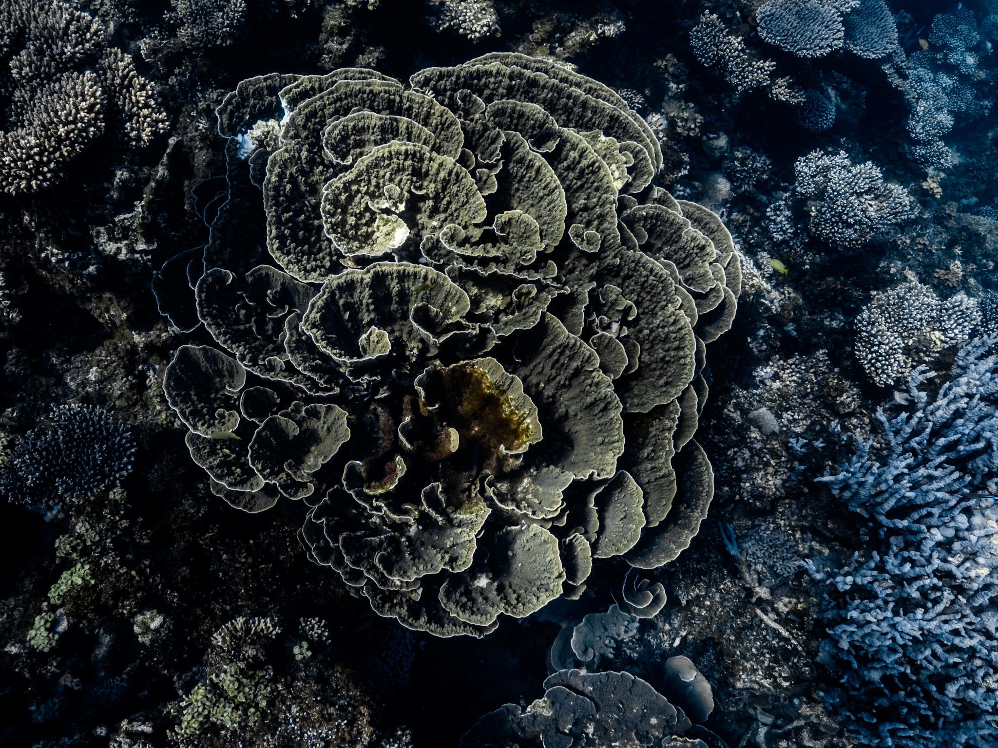20230508-P1035106