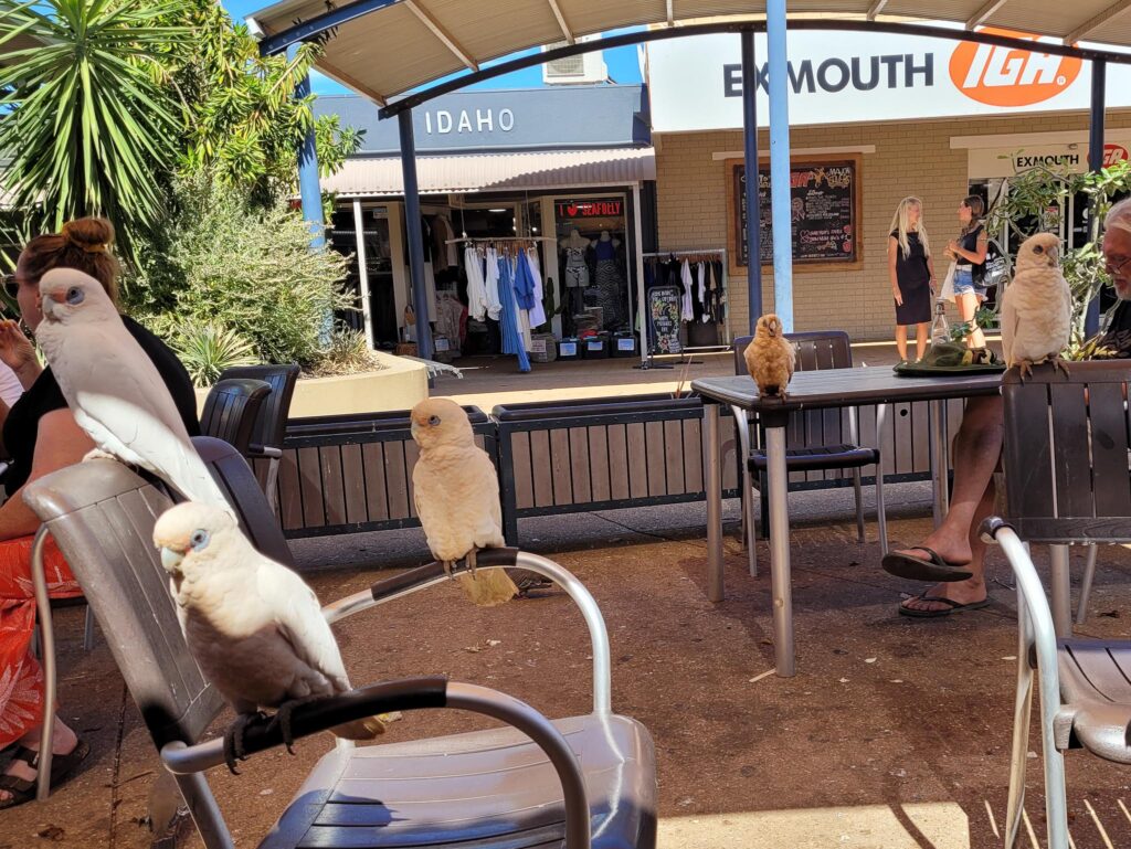 Exmouth