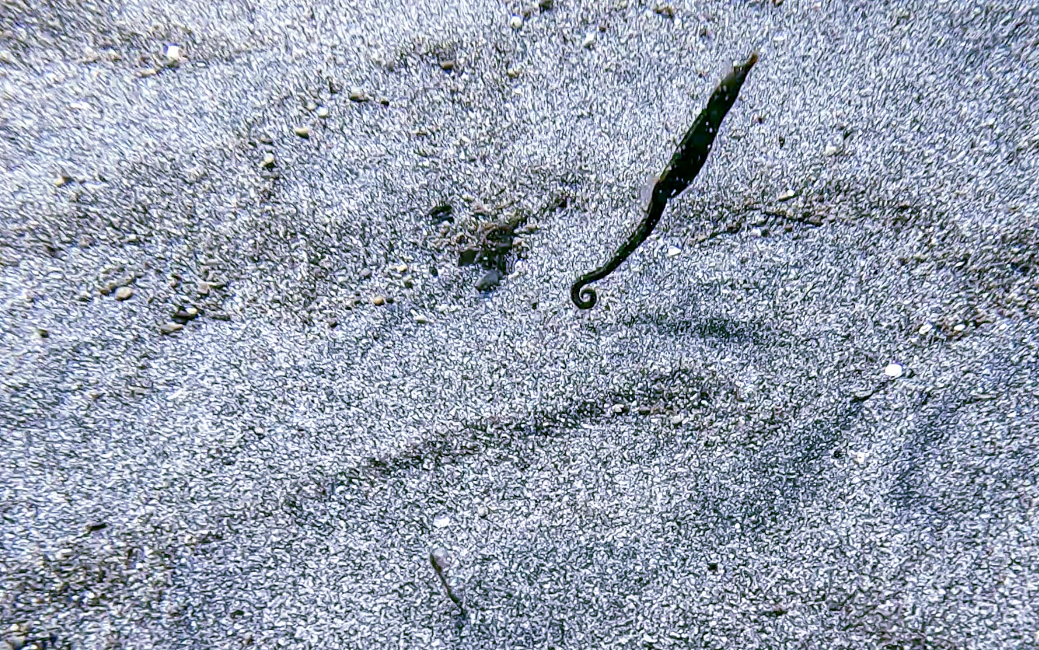 20230514-Screenshot_20230514_214510_Gallery
