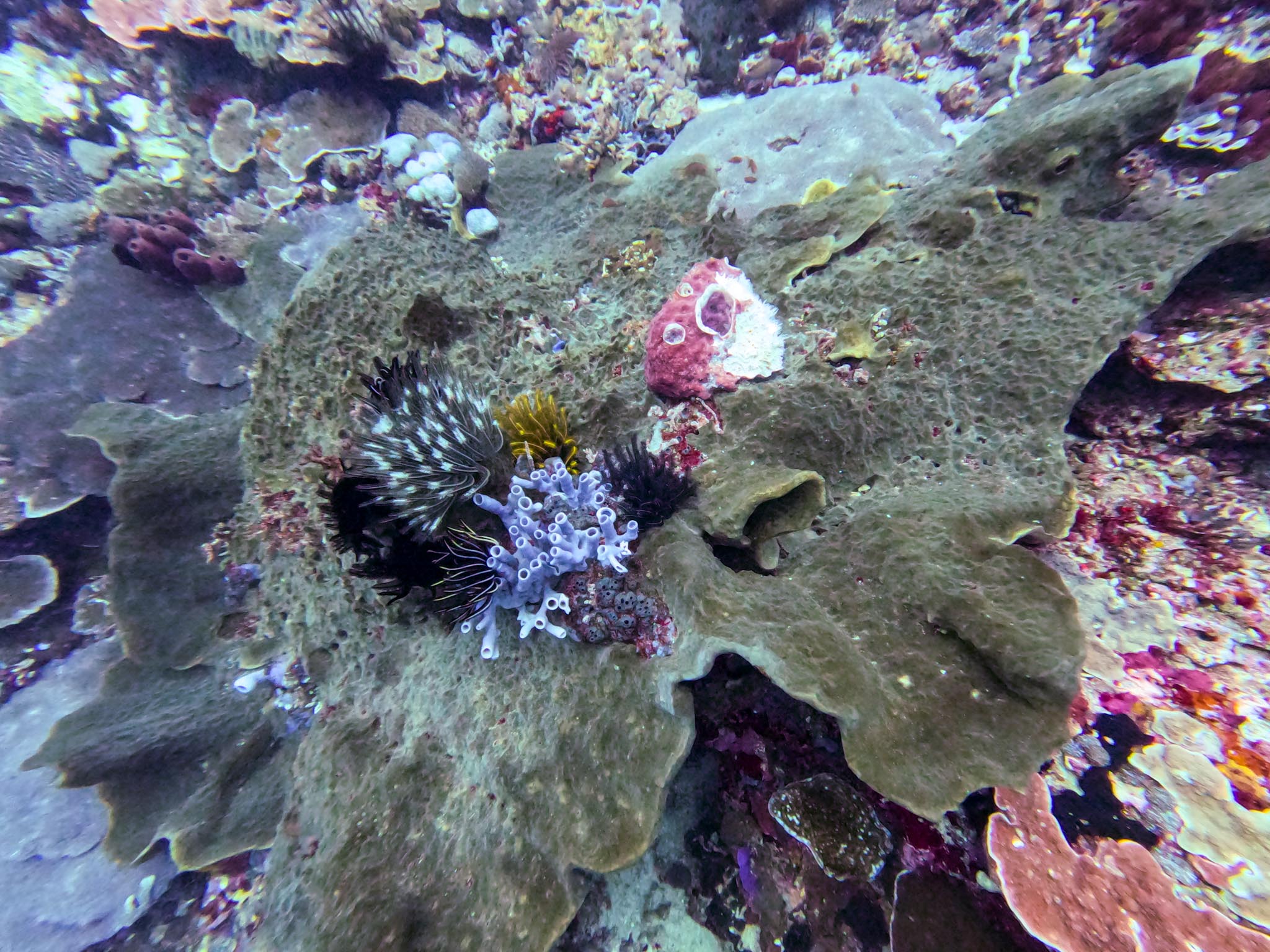 DCIM100GOPROGOPR1504.JPG