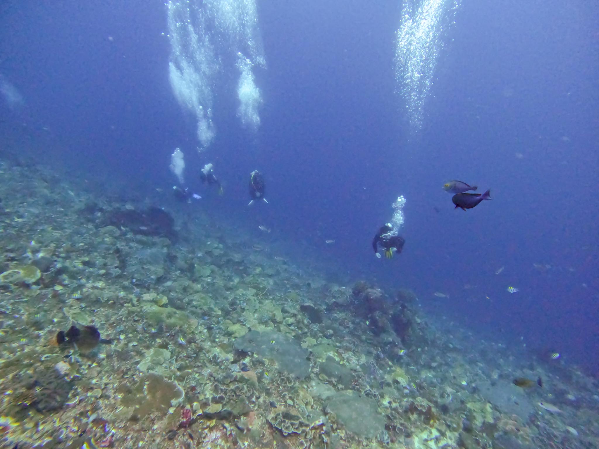 DCIM100GOPROGOPR1508.JPG