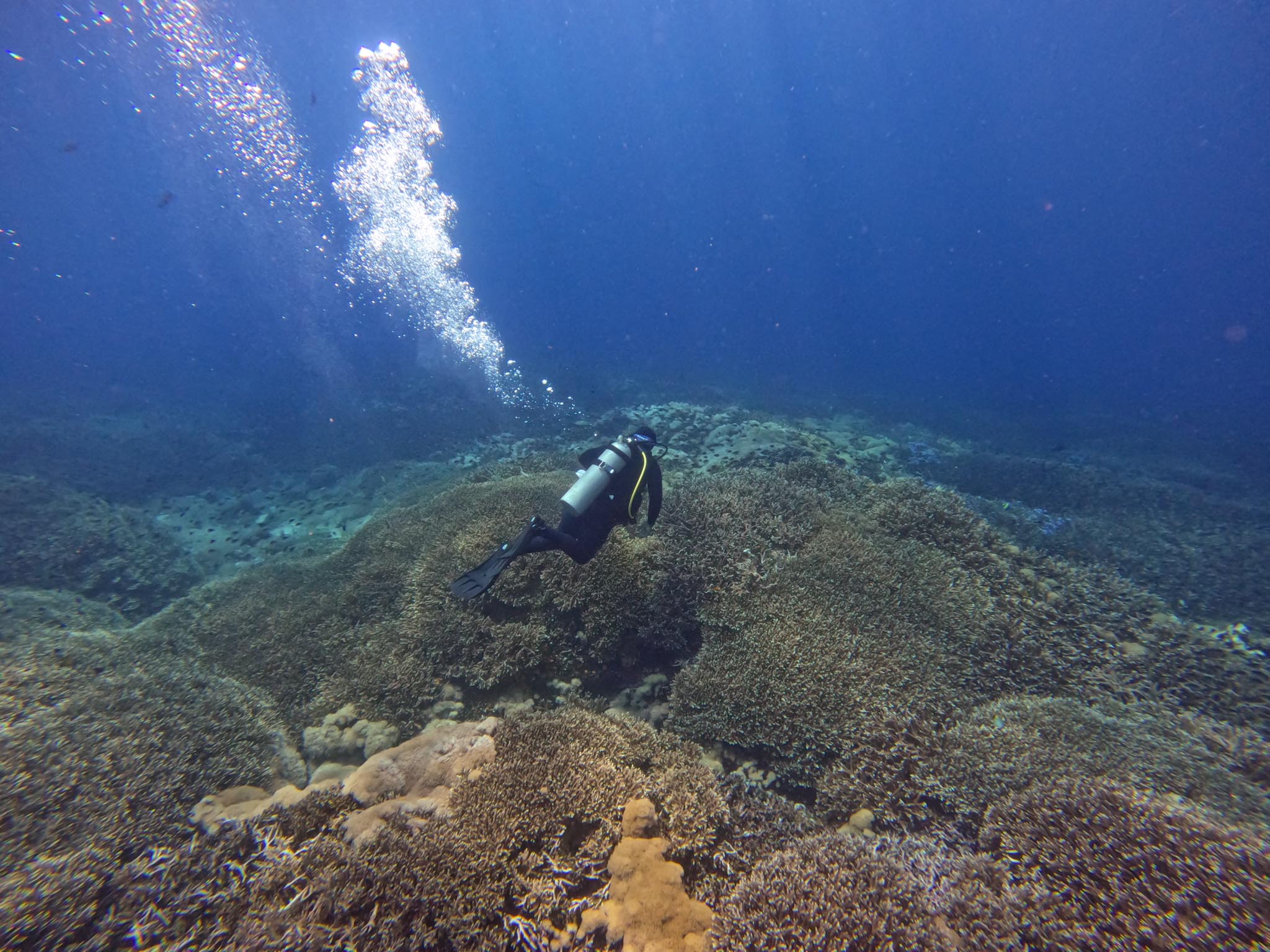 DCIM100GOPROGOPR1517.JPG