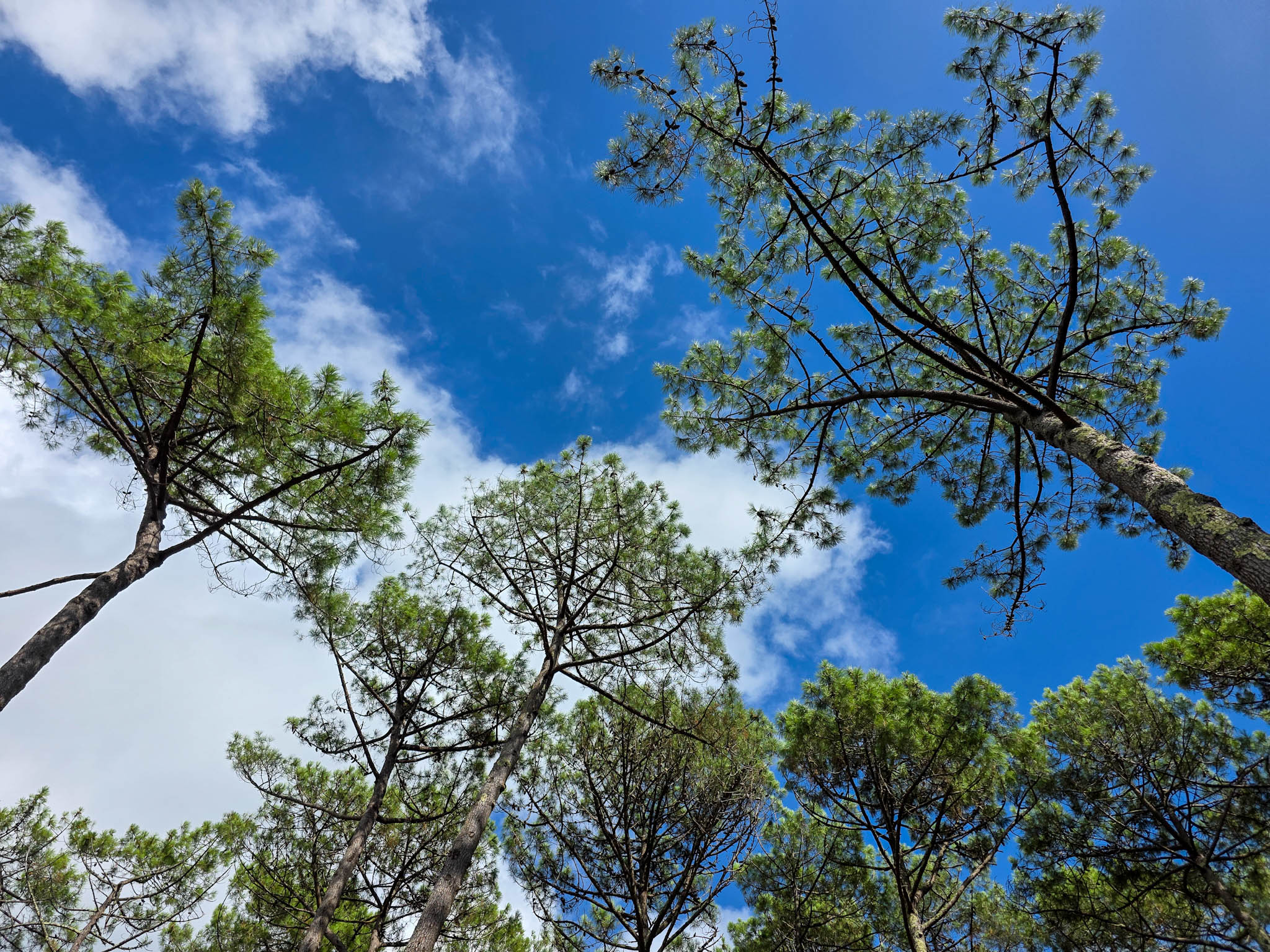 20250901_160342