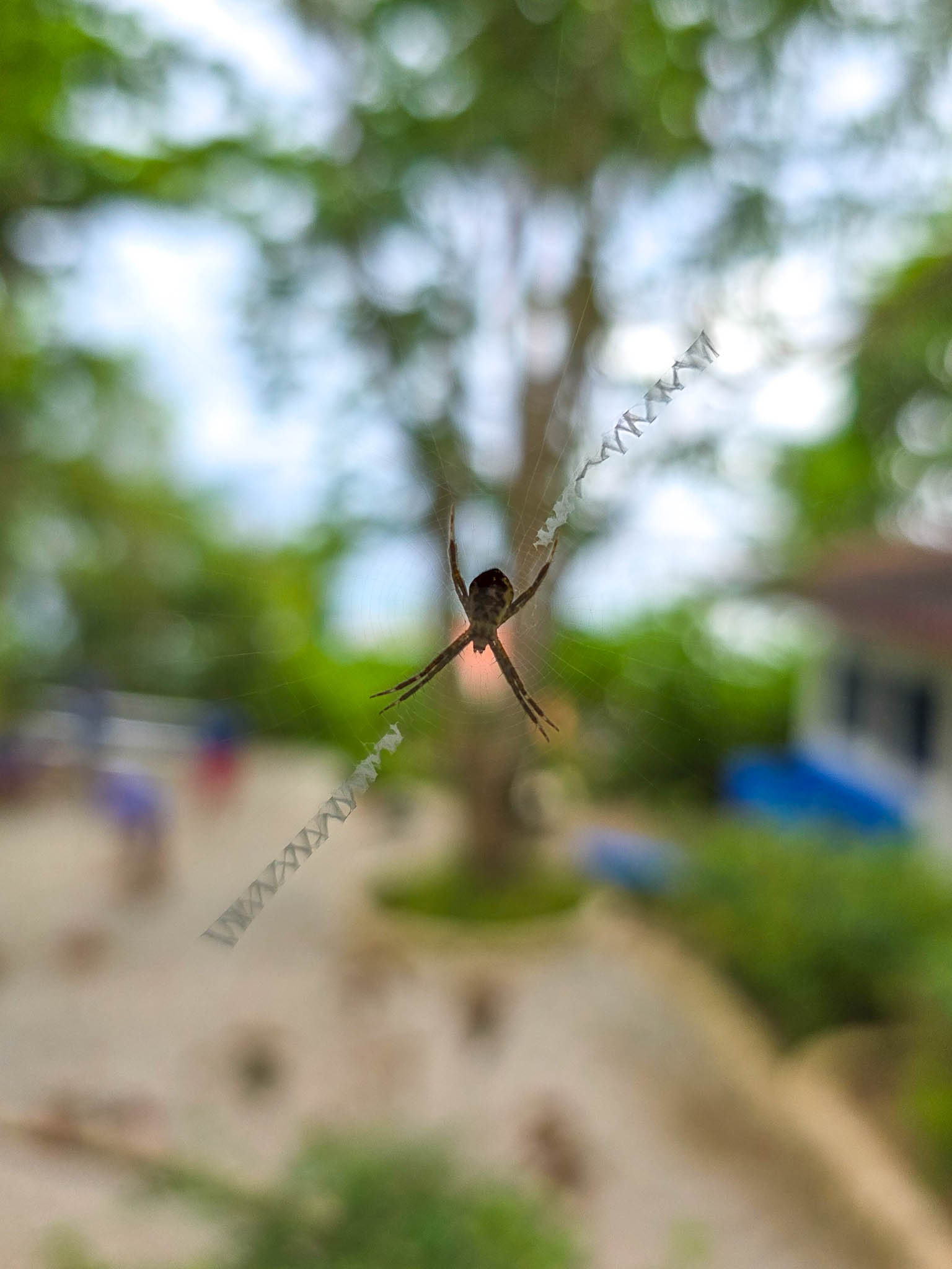 20260102_073500