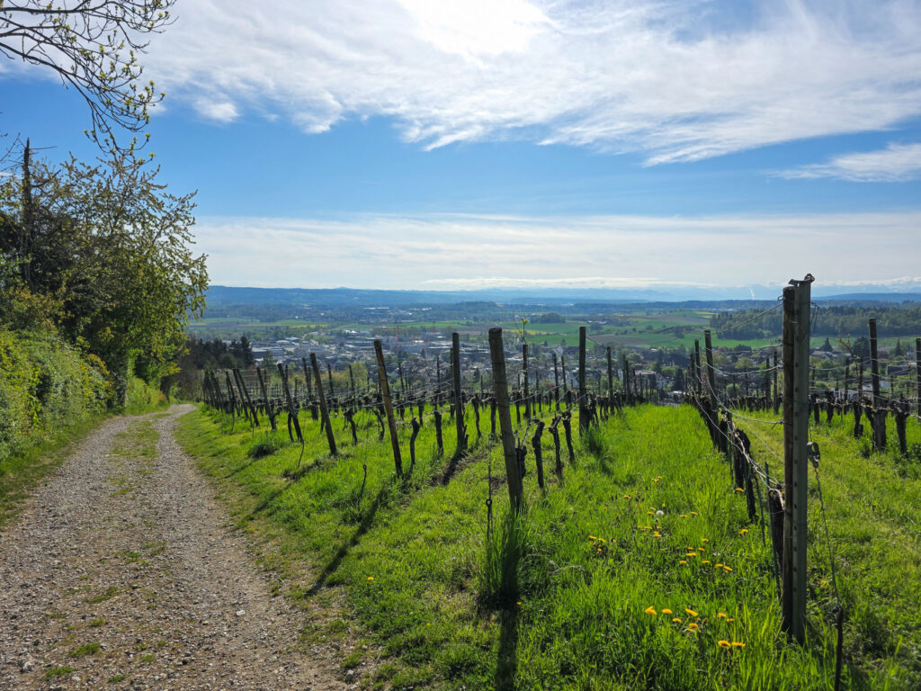 05 E01 Dielsdorf – Brugg Jura Höhenweg
