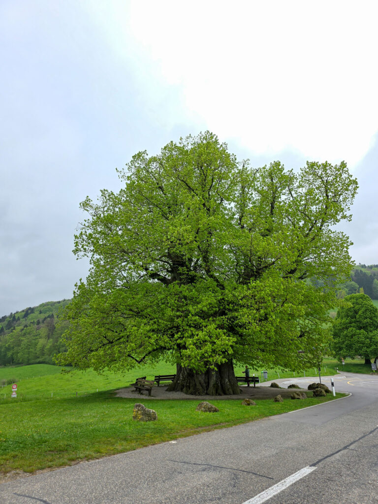 05 E02 Brugg – Staffelegg Jura Höhenweg