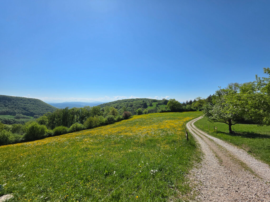 05 E03 Staffelegg – Hauenstein Jura Höhenweg