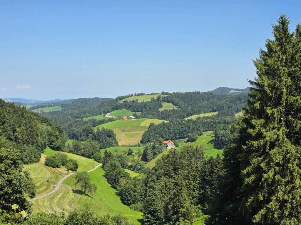 69 E2 Girenbad – Hulftegg Züri Oberland Höhenweg