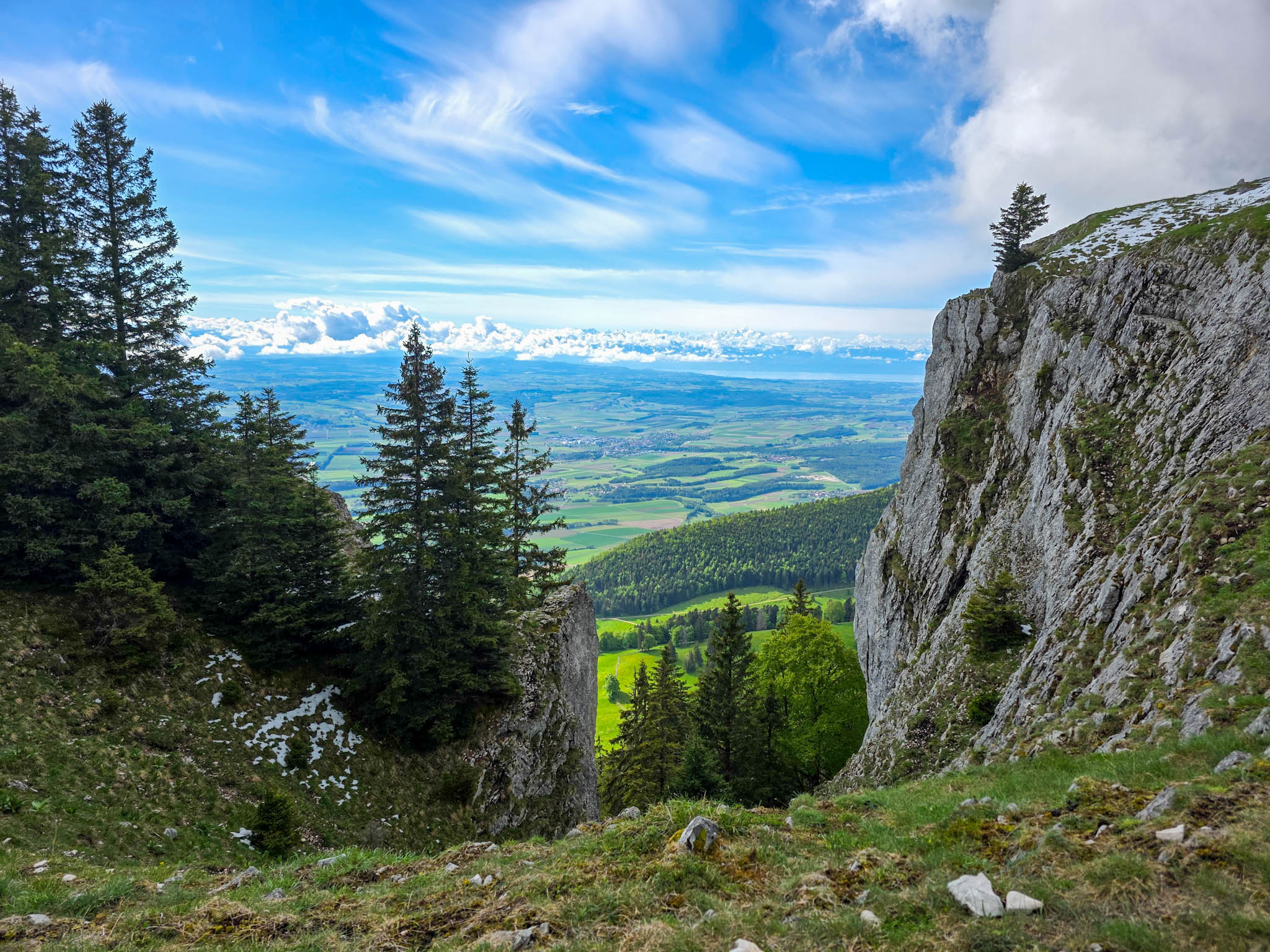 20260517_100105